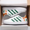 Miami Hurricanes Skate New Shoes D22